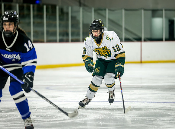 Chisago vs Rogers Varsity Hockey 348