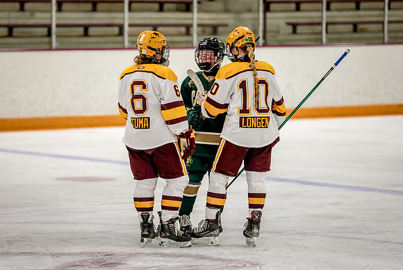 Chisago vs Forest Lake JV Hockey 237