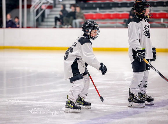 Chisago vs Rogers Varsity Hockey 20