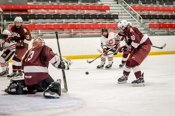Centennial vs Anoka JV Hockey 88