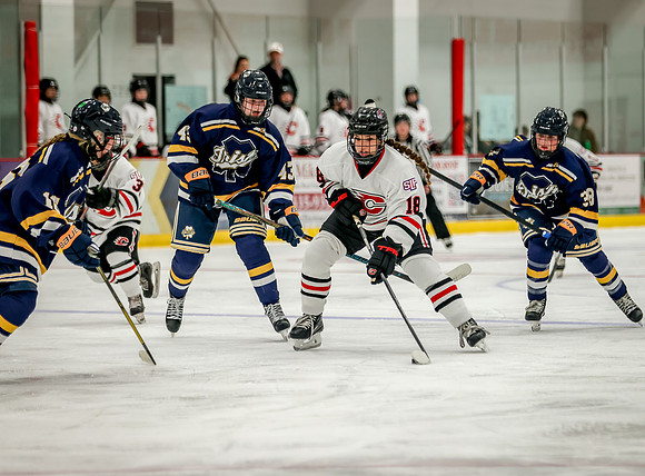 Centennial vs Rosemount JV Hockey 147