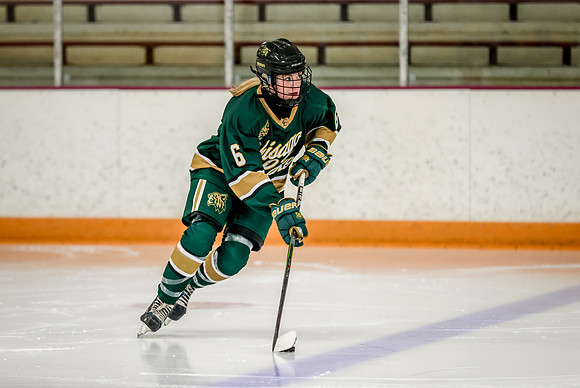 Chisago vs Forest Lake JV Hockey 5