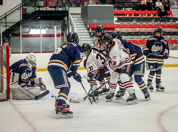 Centennial vs Rosemount JV Hockey 55