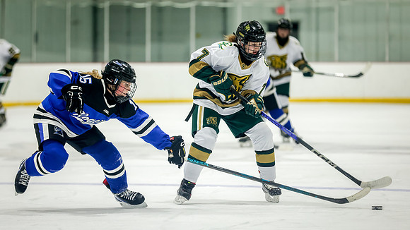 Chisago vs Rogers JV Hockey 206