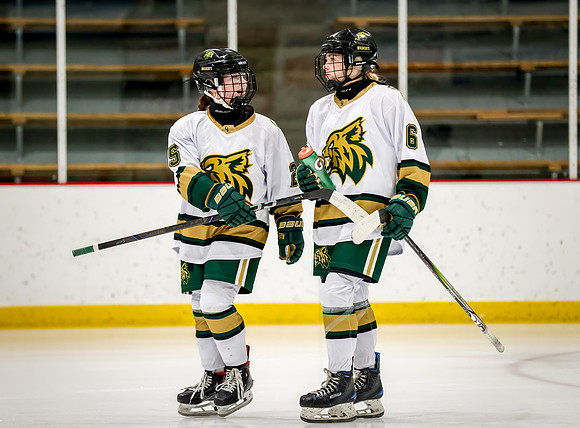 Chisago vs Rogers JV Hockey 12