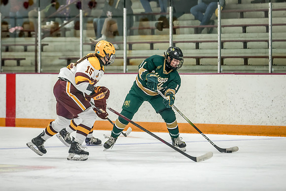 Chisago vs Forest Lake Varsity Hockey 306