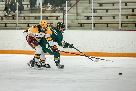 Chisago vs Forest Lake Varsity Hockey 285