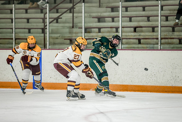Chisago vs Forest Lake Varsity Hockey 310