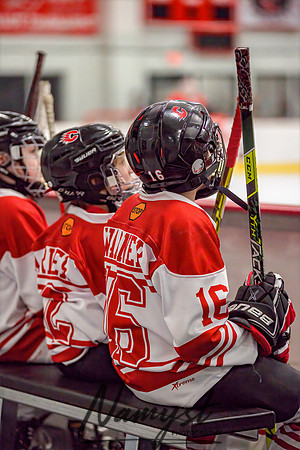 Centennial vs Andover Varsity Hockey 005
