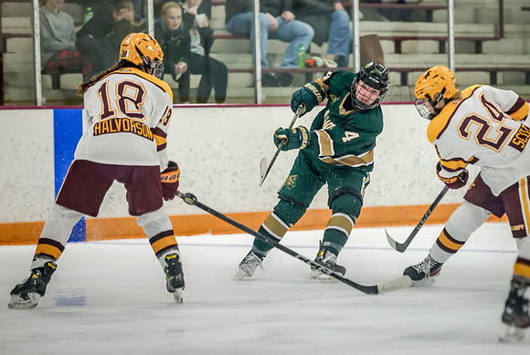 Chisago vs Forest Lake Varsity Hockey 204