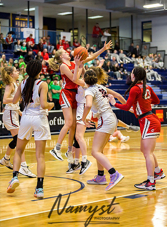 Centennial vs Shakopee Girls Basketball - State Tournament 016