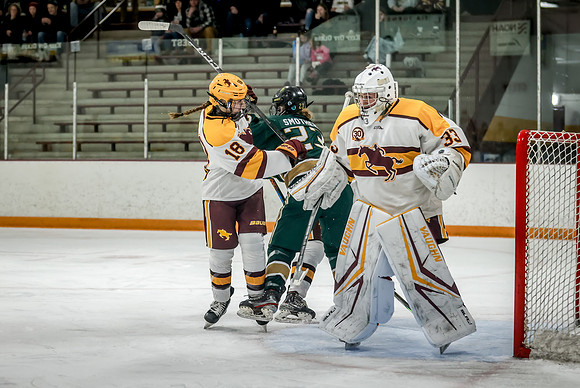 Chisago vs Forest Lake Varsity Hockey 299