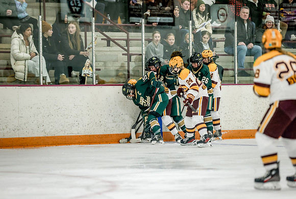 Chisago vs Forest Lake Varsity Hockey 178