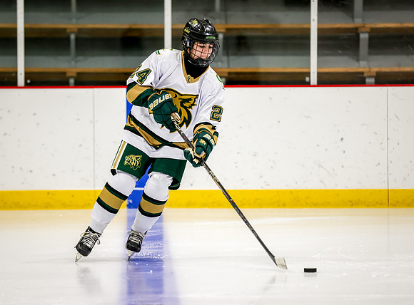 Chisago vs Rogers JV Hockey 25