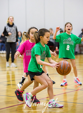 Centennial Basketball Association 001