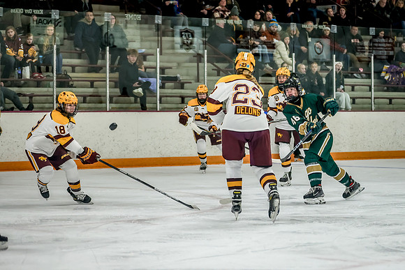 Chisago vs Forest Lake Varsity Hockey 433