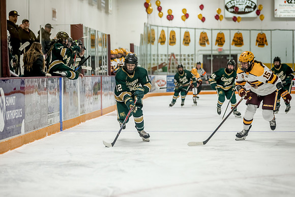 Chisago vs Forest Lake Varsity Hockey 302