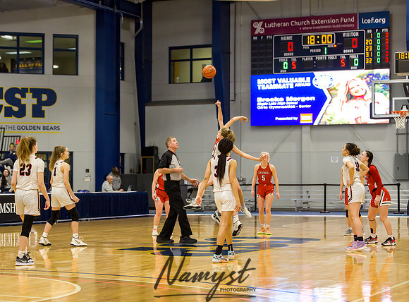 Centennial vs Shakopee Girls Basketball - State Tournament 012
