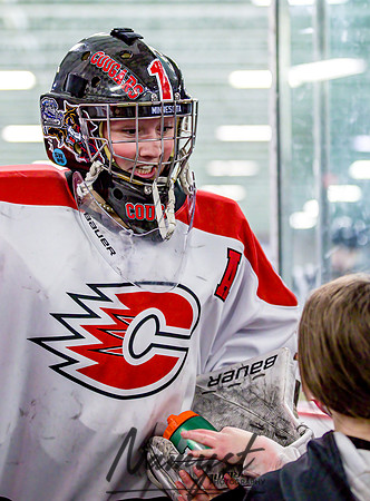 Centennial vs Osseo-Park Center Varsity Hockey 230