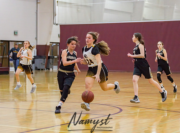 Forest Lake Girls 7 Maroon Basketball 046