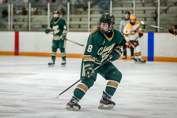 Chisago vs Forest Lake Varsity Hockey 269