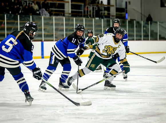 Chisago vs Rogers Varsity Hockey 176