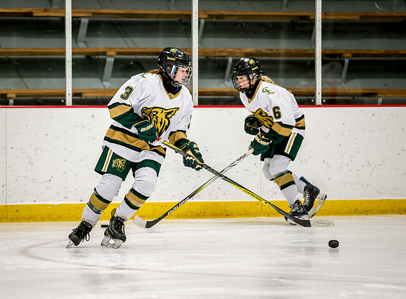 Chisago vs Rogers JV Hockey 41