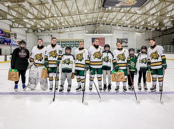 Chisago vs River Lake Stars Varsity Hoc 51