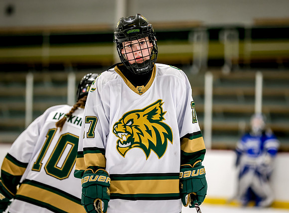 Chisago vs Rogers Varsity Hockey 42