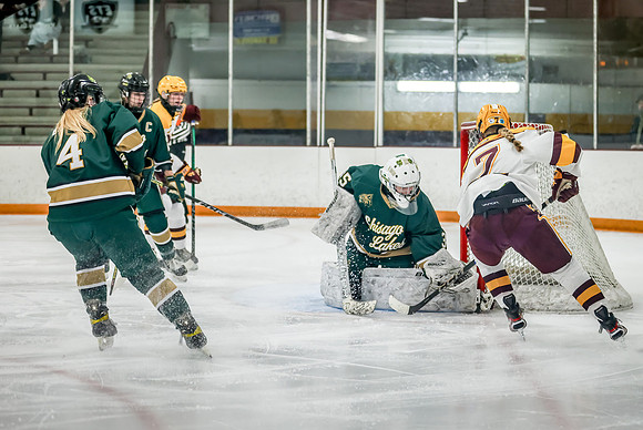 Chisago vs Forest Lake Varsity Hockey 387