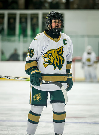 Chisago vs Rogers Varsity Hockey 124