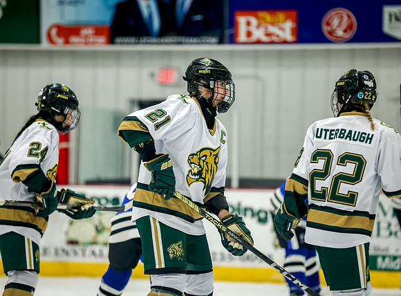 Chisago vs Rogers Varsity Hockey 291