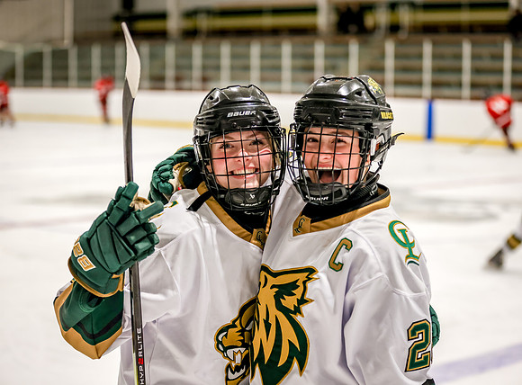 Chisago vs River Lake Stars Varsity Hoc 82