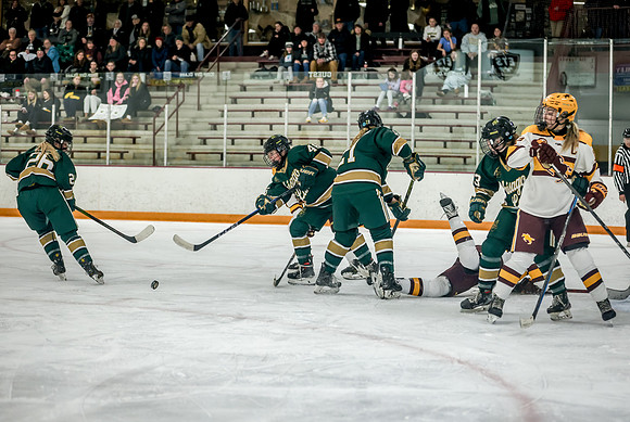 Chisago vs Forest Lake Varsity Hockey 424