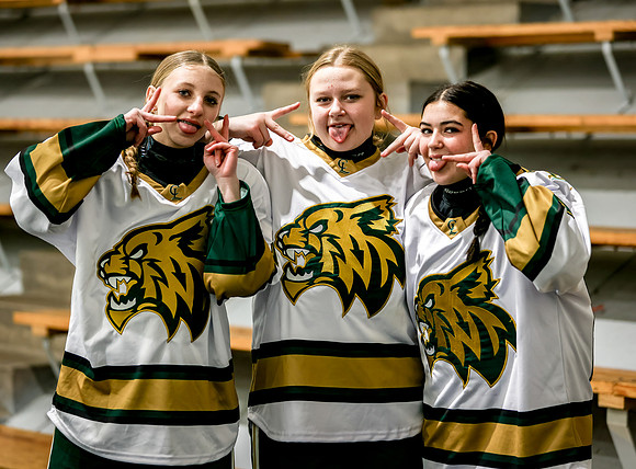 Chisago vs Rogers JV Hockey 2