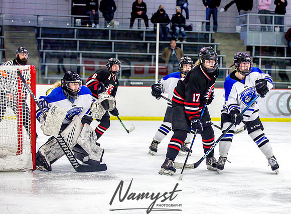 Centennial-Spring Lake Park vs Rogers Girls Varsity Hockey 320
