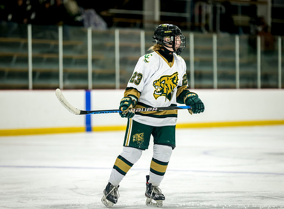Chisago vs Rogers Varsity Hockey 132
