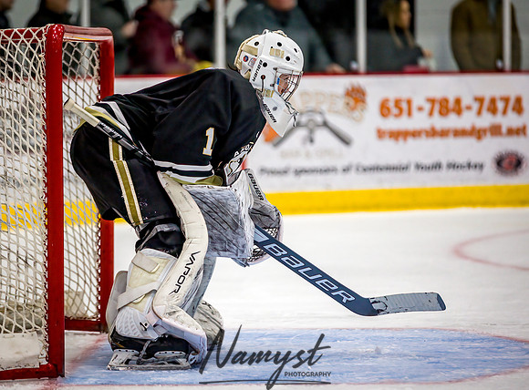 Centennial vs Andover Varsity Hockey 320