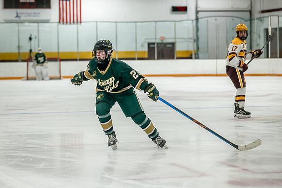Chisago vs Forest Lake Varsity Hockey 260