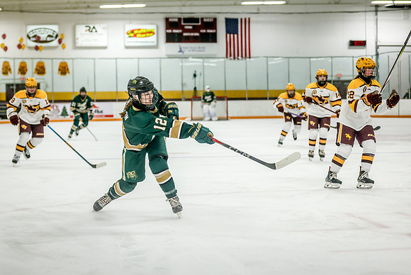 Chisago vs Forest Lake Varsity Hockey 327