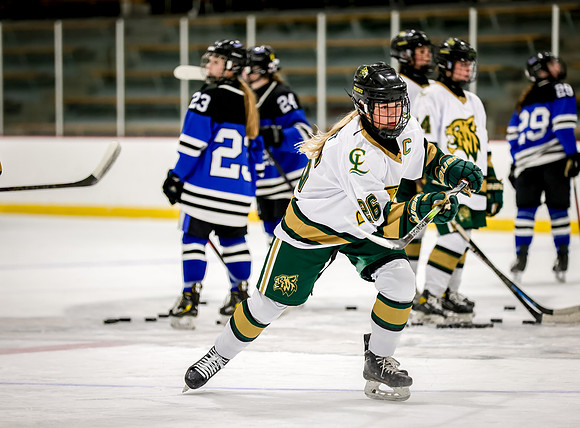 Chisago vs Rogers Varsity Hockey 30