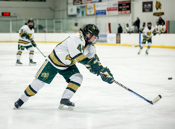 Chisago vs Rogers JV Hockey 380