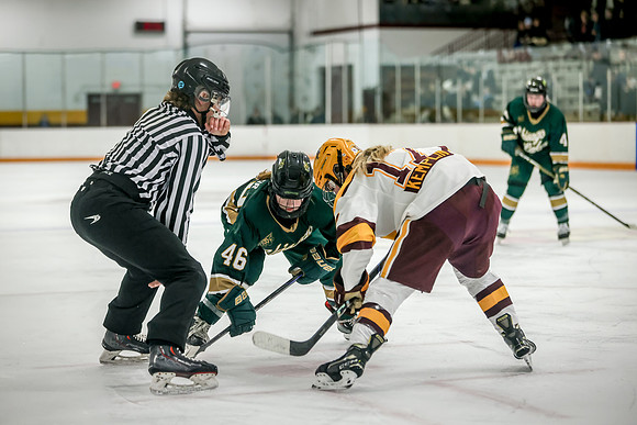 Chisago vs Forest Lake Varsity Hockey 333