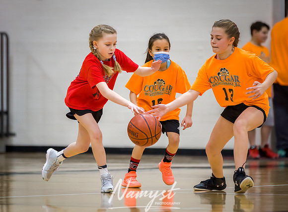 Centennial Basketball Association 135