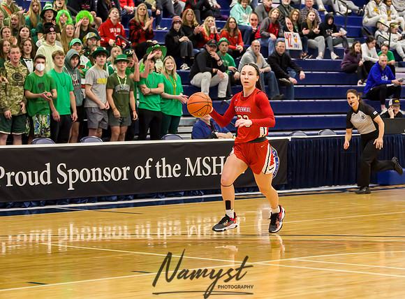 Centennial vs Shakopee Girls Basketball - State Tournament 026