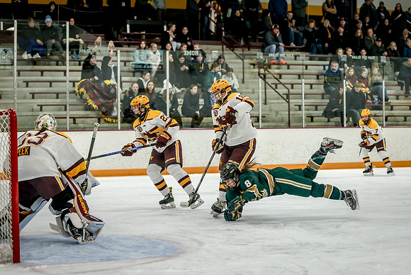 Chisago vs Forest Lake Varsity Hockey 196