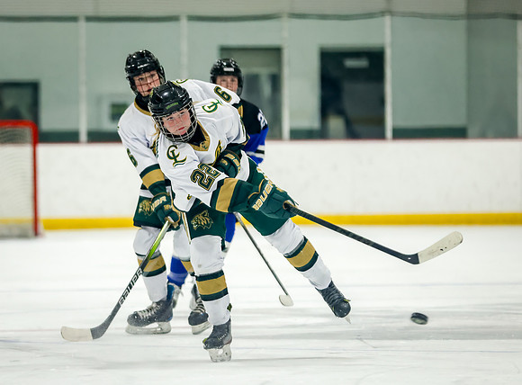 Chisago vs Rogers JV Hockey 95