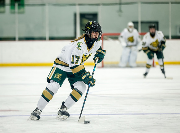 Chisago vs Rogers JV Hockey 384
