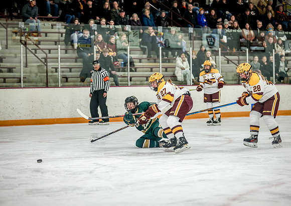 Chisago vs Forest Lake Varsity Hockey 166