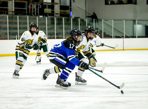 Chisago vs Rogers Varsity Hockey 189